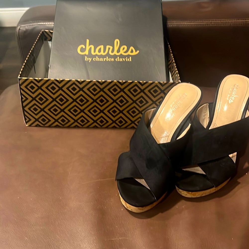 Charles David wedge sandals